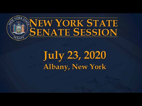 New York State Senate Session - 07/23/20