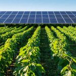 Fermă Solară Cider: Cum cea mai mare proiect solar din New York asigură un viitor mai verde